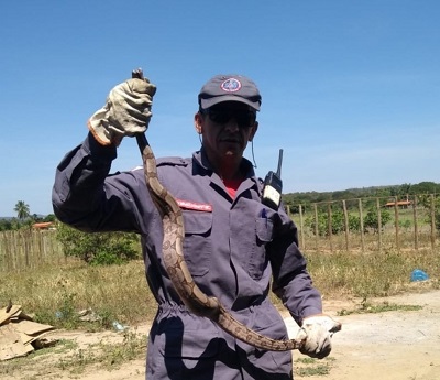 foto Not&iacute;cia São João do Paraíso