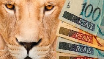 foto Not&iacute;cia São João do Paraíso