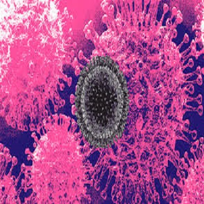 foto Not&iacute;cia São João do Paraíso