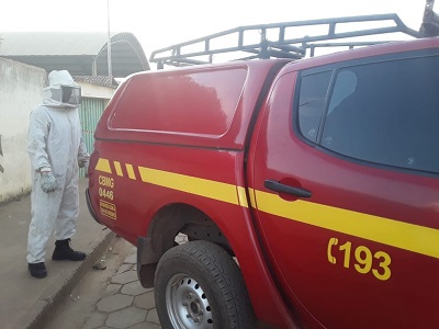 foto Not&iacute;cia São João do Paraíso