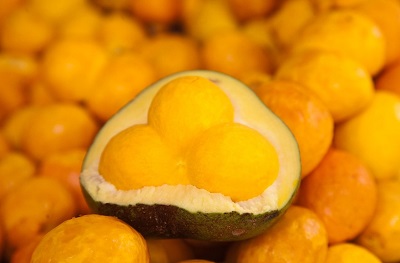 foto Not&iacute;cia São João do Paraíso