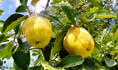 foto Not&iacute;cia São João do Paraíso