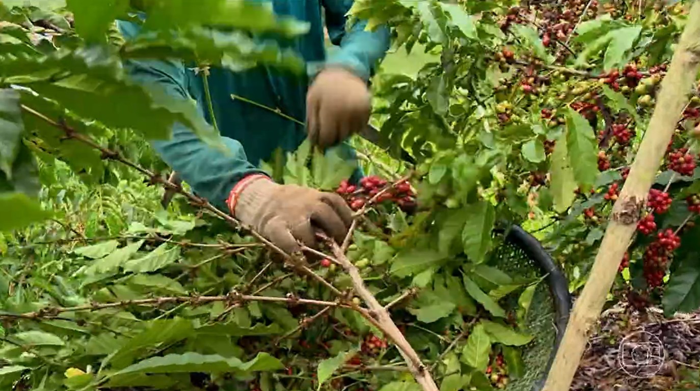 foto Not&iacute;cia São João do Paraíso