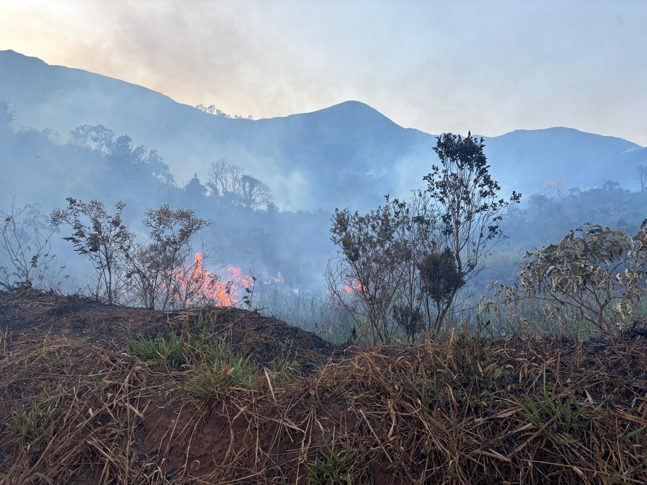 foto Not&iacute;cia São João do Paraíso