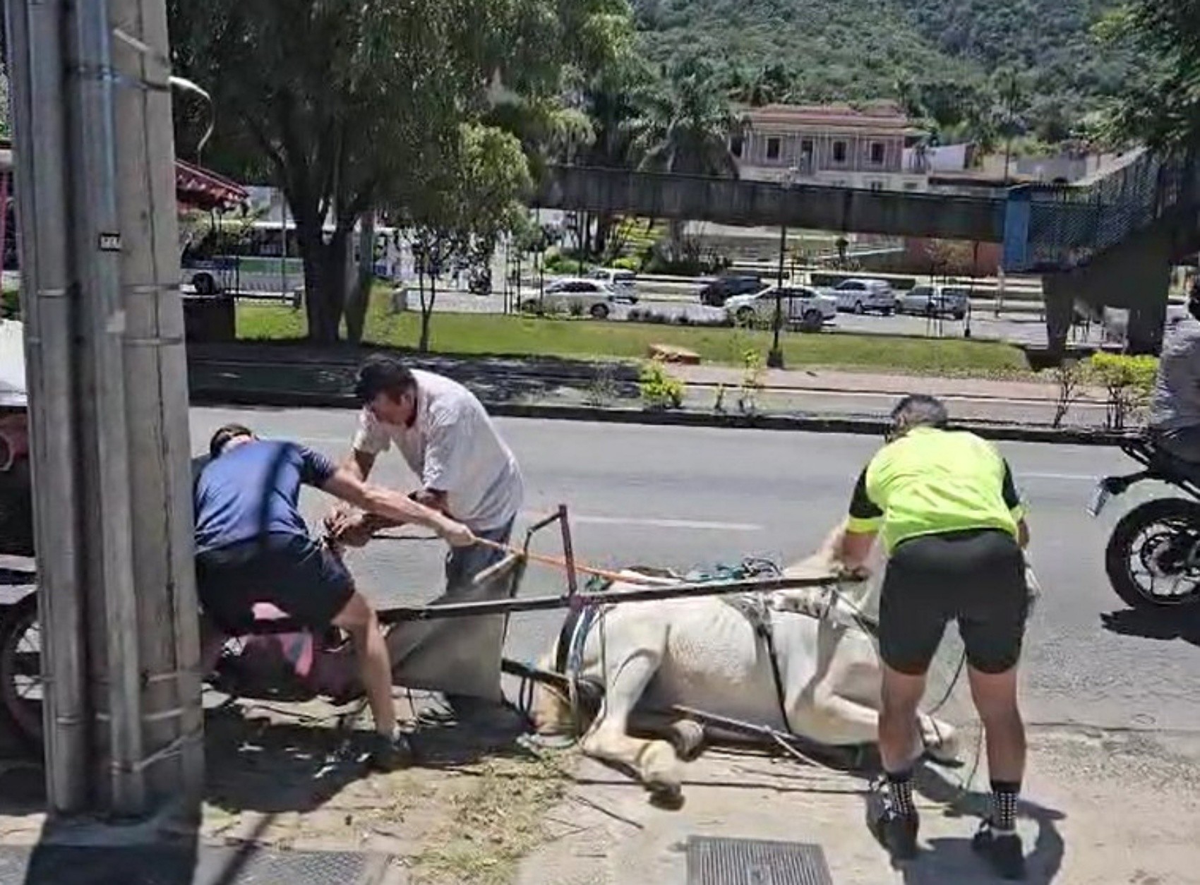 foto Not&iacute;cia São João do Paraíso